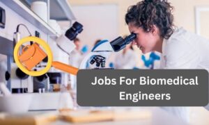 Read more about the article 49 Pro Jobs For Biomedical Engineer